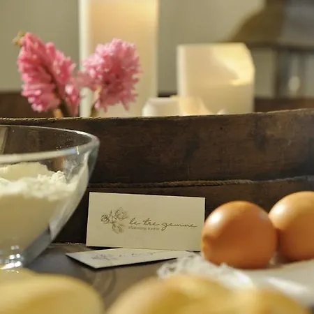 Bed & Breakfast Le Tre Gemme *